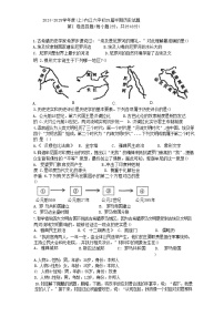 四川省内江市第六中学2024-2025学年九年级上学期11月期中历史试题