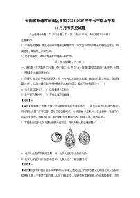 云南省昭通市昭阳区多校2024-2025学年七年级上学期10月月考历史试卷（解析版）