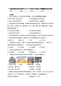 广西壮族自治区河池市2024-2025学年九年级上学期期中历史试卷(含答案)