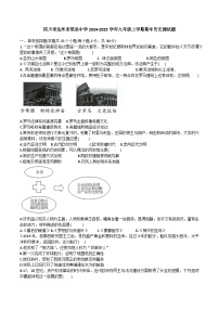 四川省达州市渠县中学2024-2025学年部编版九年级上学期11月期中历史试题