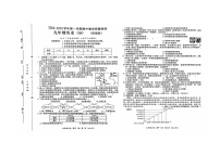 河北省石家庄市2024-2025学年上学期九年级历史期中测试题