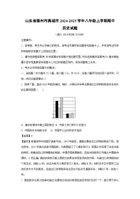 2024-2025学年山东省德州市禹城市八年级(上)期中历史试卷（解析版）