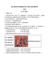 四川省泸州市田家炳中学2024-2025学年九年级上学期11月期中历史试题