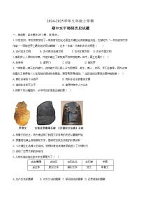 山东省聊城市莘县四校联考2024-2025学年九年级上学期11月期中历史试题