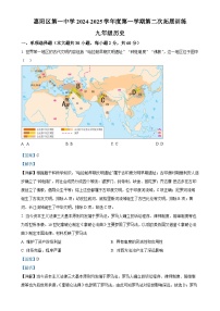 广东省惠州市惠阳区第一中学2024-2025学年九年级上学期期中历史试题（解析版）-A4