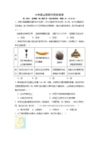 河南省信阳市新县2024-2025学年七年级上学期期中质量监测历史试卷