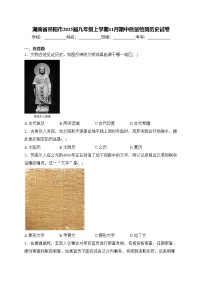 湖南省岳阳市2025届九年级上学期11月期中质量检测历史试卷(含答案)