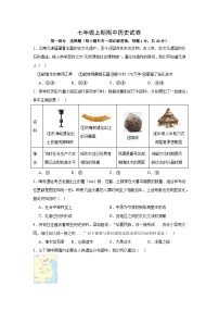 河南省信阳市新县2024-2025学年七年级上学期期中质量监测历史试卷