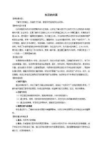 初中历史人教版（2024）七年级上册（2024）第13课 东汉的兴衰教学设计
