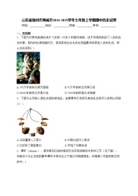 山东省德州市禹城市2024-2025学年七年级上学期期中历史试卷(含答案)