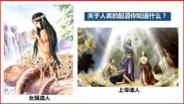 初中历史人教版（2024）七年级上册（2024）第1课 远古时期的人类活动优质ppt课件