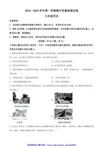 2024～2025学年河南省平顶山市第十三中学九年级(上)期中历史试卷(含答案)