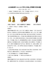 山东省临清市2024-2025学年七年级(上)期中历史试卷（解析版）