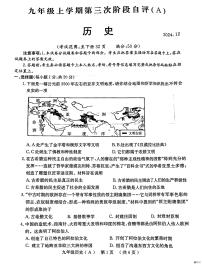 河南省安阳市林州市2024-2025学年九年级上学期12月月考历史试题