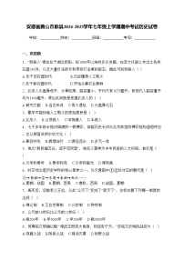 安徽省黄山市歙县2024-2025学年七年级上学期期中考试历史试卷(含答案)
