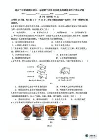 福建省漳州市第三中学2024-2025学年七年级上学期12月月考历史试题