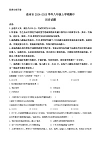 广东省清远市连州市2024-2025学年八年级上学期期中历史试题（含答案）