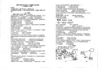 湖南省衡阳市实验中学2024-2025学年上学期九年级期中考试历史试题