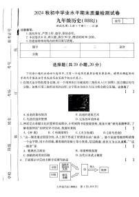 河南省驻马店市确山县部分初中2024-2025学年九年级上学期1月期末历史试题