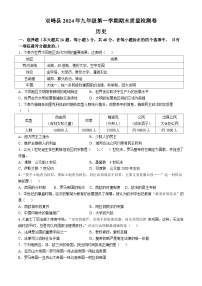 湖南省娄底市双峰县2024-2025学年九年级上学期期末历史试题（含答案）