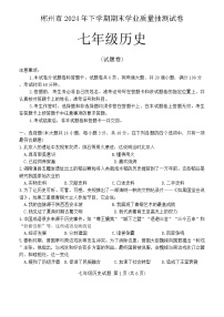 湖南省郴州市2024--2025学年七年级上学期期末历史试题（含答案）