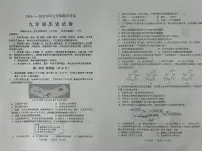 辽宁省营口市盖州市2024-2025学年九年级上学期1月期末历史试题