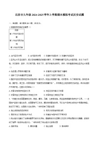 北京市九年级2024-2025学年上学期期末模拟考试历史试题（解析版）