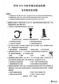 湖北省荆州市沙市区2024-2025学年九年级上学期1月期末历史试题