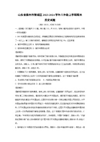 2023~2024学年山东省德州市陵城区八年级上学期期末历史试卷（解析版）