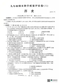 河南省林州市2024-2025学年部编版九年级历史上学期期末调研试题