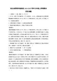 2024-2025学年河北省邯郸市临漳县九年级上学期期末历史试卷（解析版）