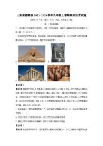 2023~2024学年山东省嘉祥县九年级上期末历史试卷（解析版）