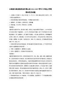 2024-2025学年云南省壮族苗族自治州砚山县八年级上学期期末历史试卷（解析版）