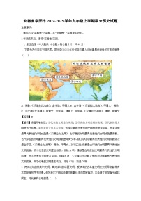 安徽省阜阳市2024-2025学年九年级上学期期末历史试卷（解析版）