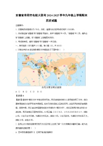 2024-2025学年安徽省阜阳市名校大联考九年级上学期期末历史试卷（解析版）