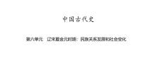 中国古代史 第六单元　辽宋夏金元时期民族关系发展和社会变化2025年中考历史一轮复习教材梳理 课件