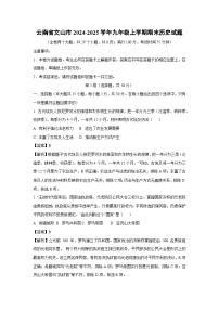 云南省文山市2024-2025学年九年级(上)期末历史试卷（解析版）