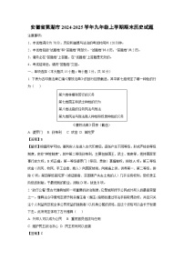 安徽省芜湖市2024-2025学年九年级(上)期末历史试卷（解析版）