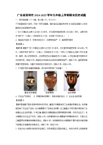 广东省深圳市2024-2025学年九年级(上)期末历史试卷（解析版）