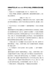 河南省平顶山市2024-2025学年九年级(上)期末历史试卷（解析版）
