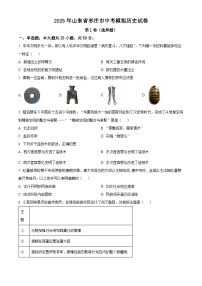 2025年山东省枣庄市中考模拟历史试题（原卷版+解析版）