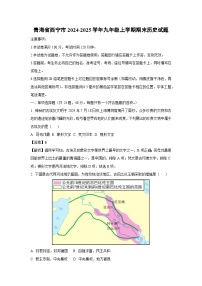 2024-2025学年青海省西宁市九年级上学期期末历史试卷（解析版）