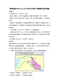 2024-2025学年青海省西宁市九年级上学期期末历史试卷（解析版）