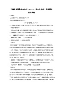 2024-2025学年云南省楚雄彝族自治州九年级上学期期末历史试卷（解析版）