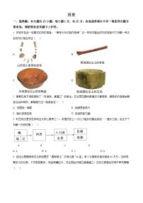 重庆市鲁能巴蜀中学校2024-2025学年九年级下学期第一次月考历史试题（原卷版+解析版）