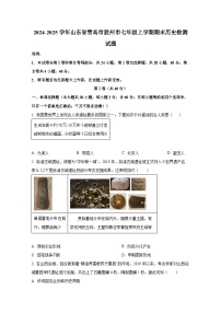 2024-2025学年山东省青岛市胶州市七年级上学期期末历史检测试题（附答案）