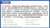 初中历史人教版（2024）七年级下册（2024）北宋的政治图文课件ppt