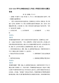 2023-2024学年云南临沧地区九年级上学期历史期末试卷及答案