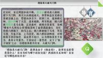 人教版（2024）七年级下册（2024）辽、西夏与北宋并立备课ppt课件