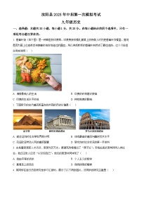 2025年河南省洛阳市汝阳县中考一模历史试题（原卷版+解析版）